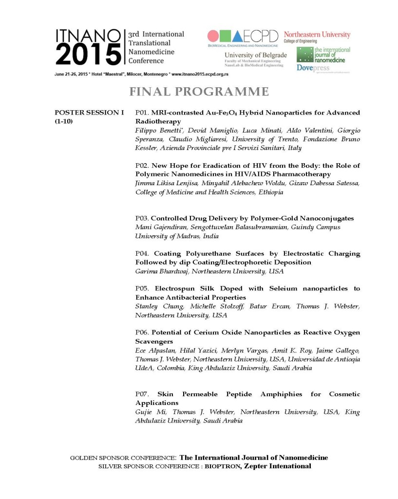 FINAL_PROGRAM_ITNano2015_Page_8