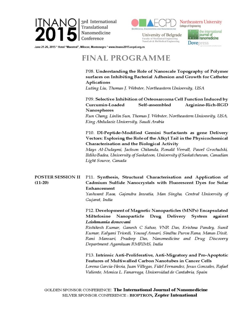 FINAL_PROGRAM_ITNano2015_Page_9